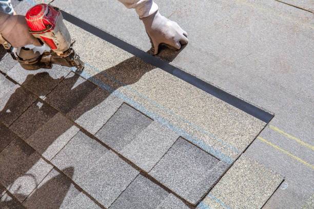 Roof Repair Estimates in Laurel, FL